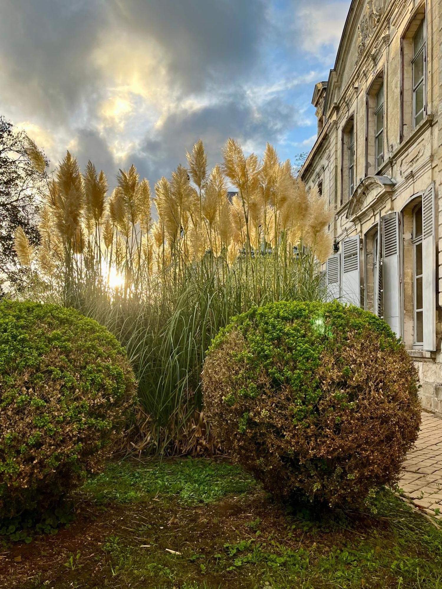 Chateau De Contay Guesthouse - 1753 Luaran gambar
